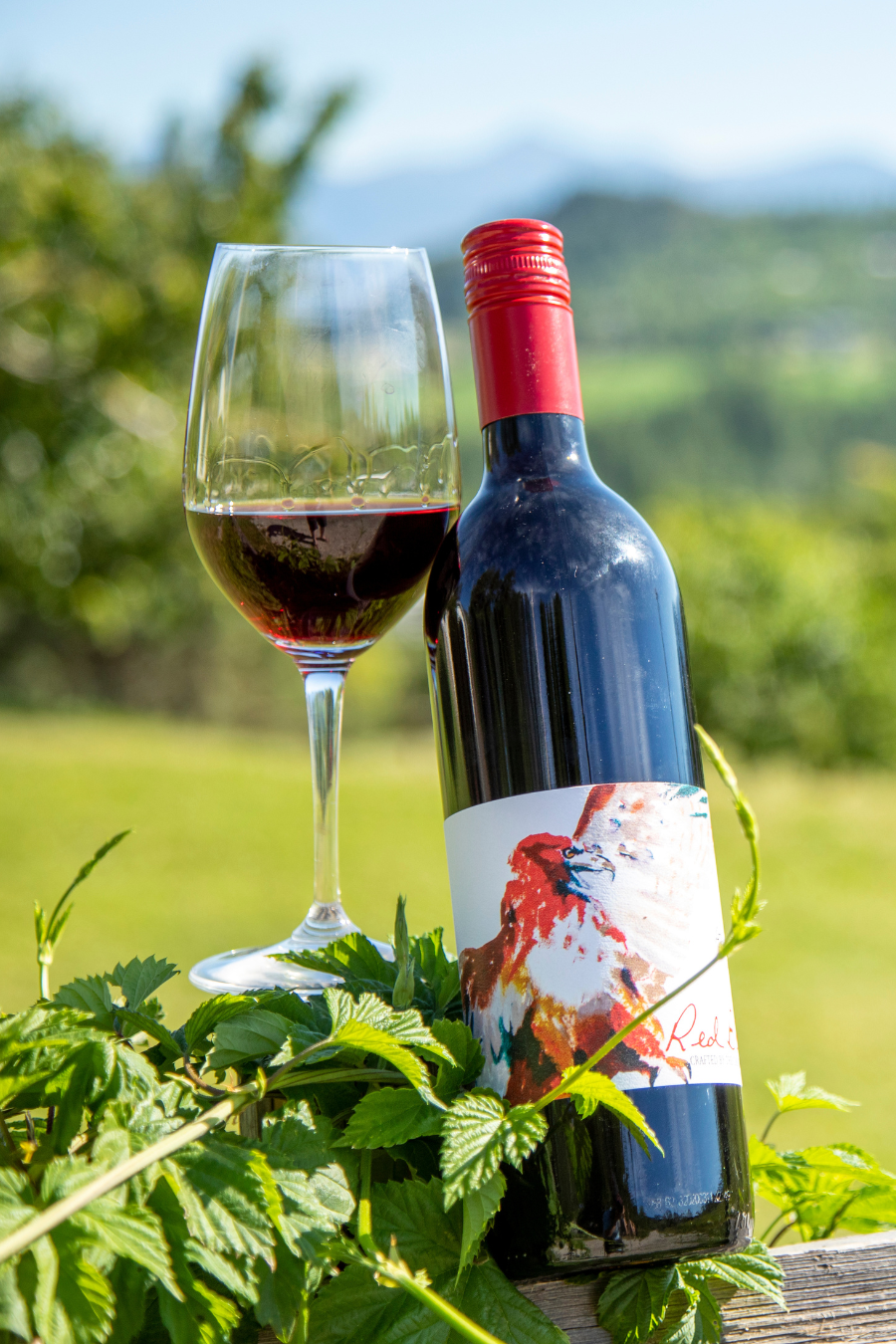 Pinot Noir 2022 — Red Bird Estate Winery